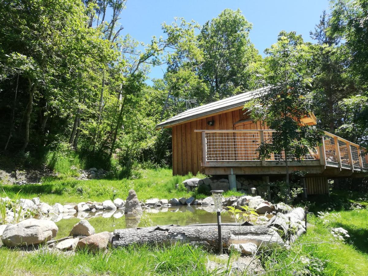 Ma Cabane Des Hautes-Alpes Saint-Julien-en-Champsaur المظهر الخارجي الصورة